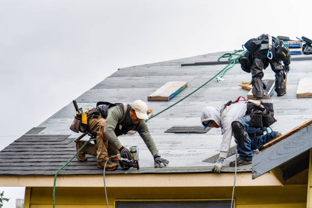 Professional Roof Inspection technician working in Okemos, MI